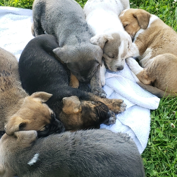 Meet your Posher, Bree - Picture 10 of 12